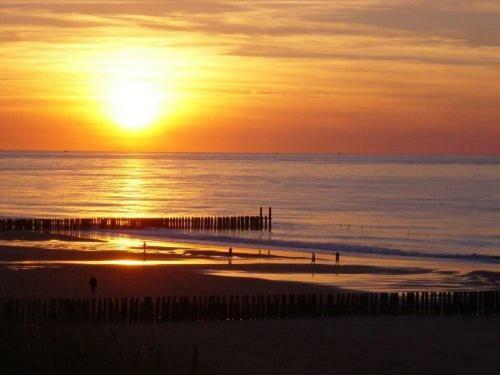 Luxe 4-Persoons Vakantiewoning Aan Zee Zoutelande Bagian luar foto